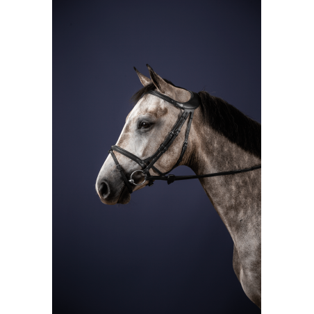 Bridon Différence New English Collection van Dy'on