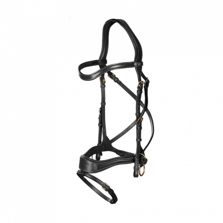 Hoofdstel D Motion D Collectie van Dy'on