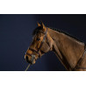 Bridon Dubbele Neusriem D Collection by Dy'on - Bruin