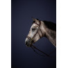 Bridon Hackamore New English Collection van Dy'on - Bruin