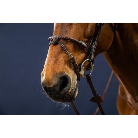 Hoofdstel Neusriem Touw Bekleed met Leer D Collectie van Dy'on