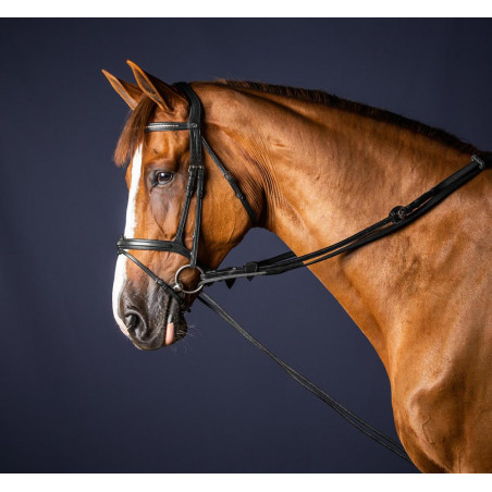 Duitse teugels Leder/Nylon 5/8 New English Collection by Dy'on