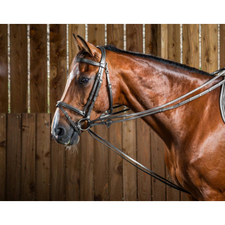 Duitse Hunter 1/2 Working-teugels van Dy'on