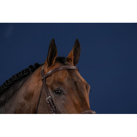 Frontaal Rechts US Collectie door Dy'on