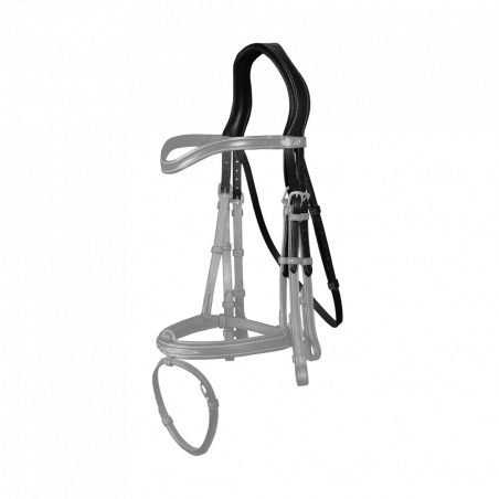 Hoofdstuk D Hoofdstel Collectie van Dy'on