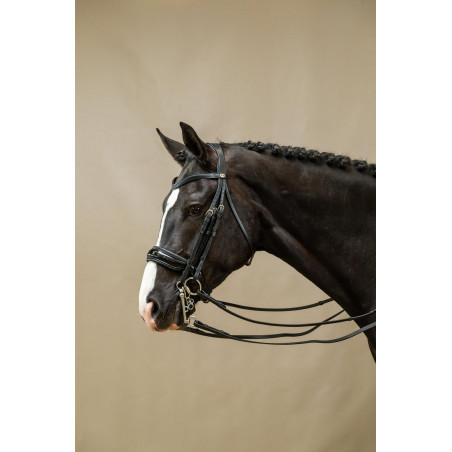 Muserolle Bride Large Vernie Working By Dy'on