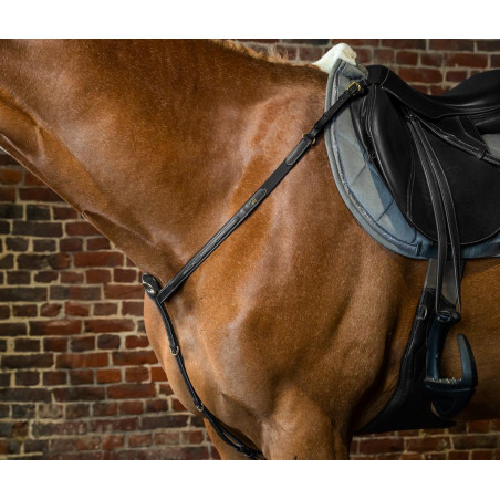 Jachtborsttuig D-Collectie van Dy'on