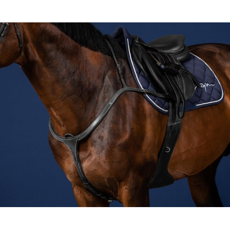 Jachtmartingaal Lang Met Pont US Collectie by Dy'on