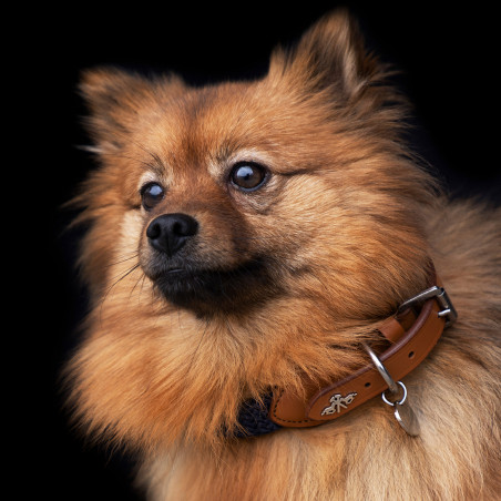 Halsband voor hond HV Polo Franka Rope