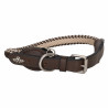Halsband voor hond HV Polo Franka Rope - Bruin / beige