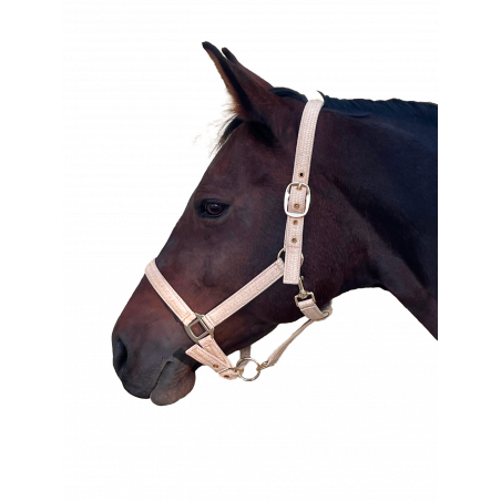 Halster Canter Malibu