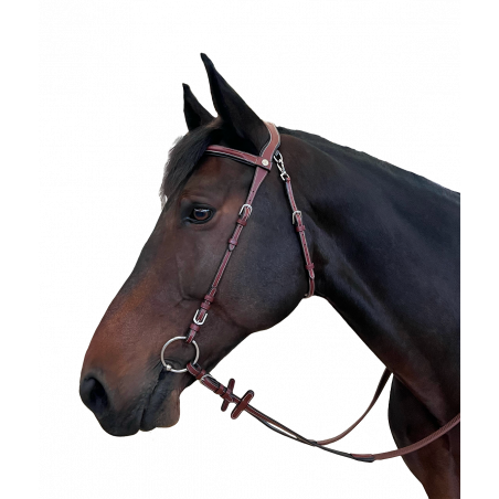 Hoofdstel Flags & Taça Freedom