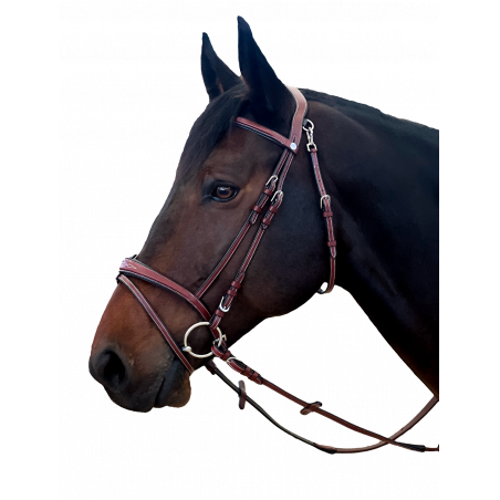 Hoofdstel Flags & Cup Nova Iorque