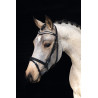 Bridon HKM Little Star - Zwart