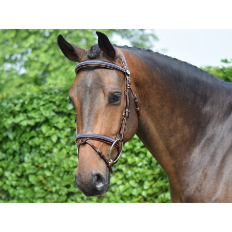 Filet Jump'In Crystal gecombineerde neusriem Week