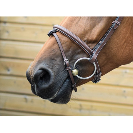 Londense neusriem Jump'In One