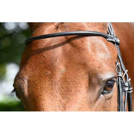 Frontaal Monday Jump'In