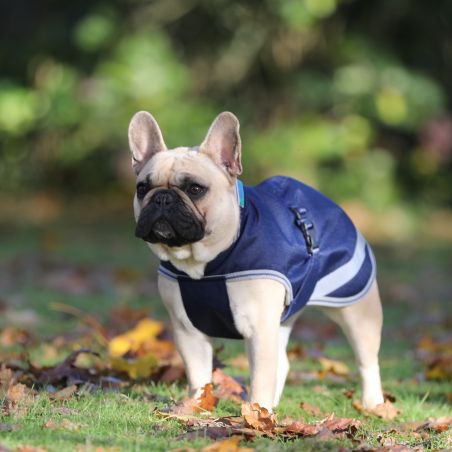 Honden deken Bucas Freedom 150g