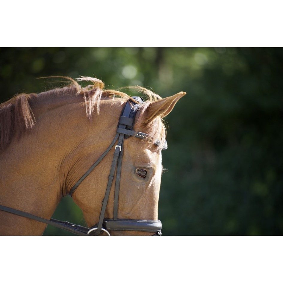 Protège nuque velcro