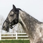 Licht vliegmasker met franjes Riding World