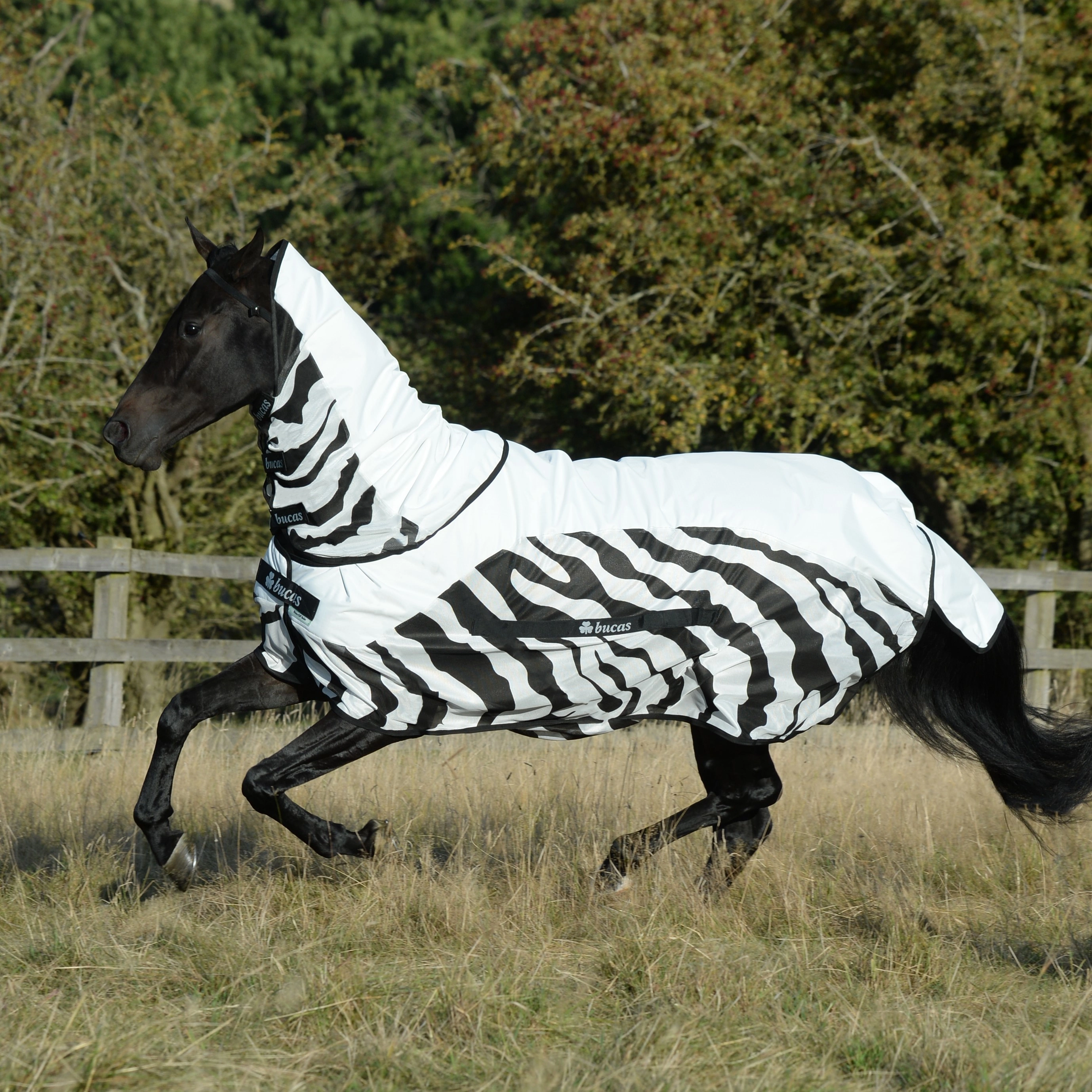 Bucas Buzz-Off Rain Zebra vliegendeken met halsstuk Bucas Buzz-Off Rain Zebra vliegendeken met halsstuk