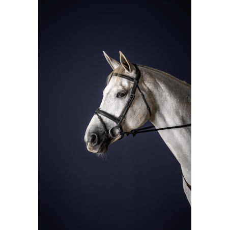 Bridon Sperriem Combinée Dy'on New English Collection