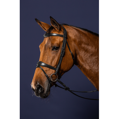 Bridon Mexicaans gecombineerde Dy'on New English Collection