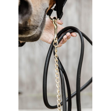 Lange Presentatie in Leer Kentucky