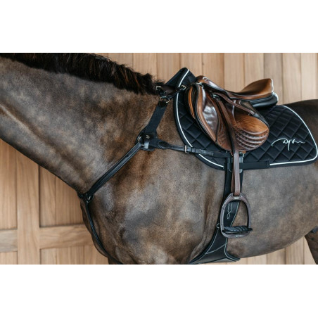 Borsttuig met 5 punten met elastieken New English Collection Dy'on