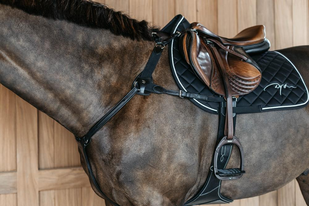 Borsttuig met 5 punten met elastieken New English Collection Dy'on Zwart Borsttuig met 5 punten met elastieken New English Collection Dy'on Zwart