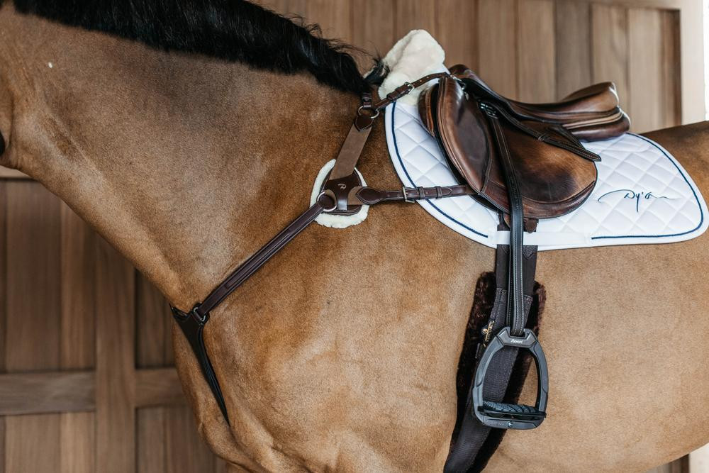 Borsttuig met 5 punten met elastieken New English Collection Dy'on Zwart Borsttuig met 5 punten met elastieken New English Collection Dy'on Zwart