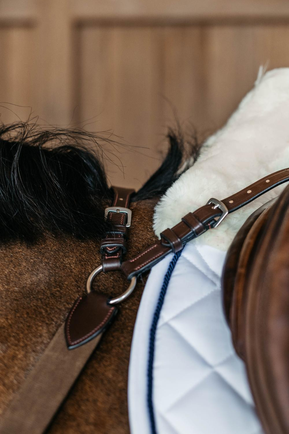 Borsttuig met 5 punten met elastieken New English Collection Dy'on Zwart Borsttuig met 5 punten met elastieken New English Collection Dy'on Zwart