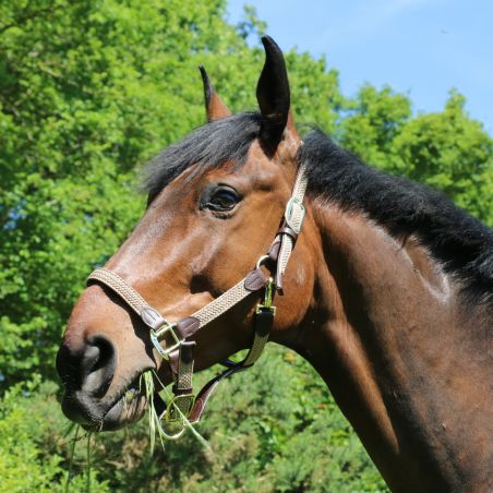 Gevlochten Nylon Halster Kentucky