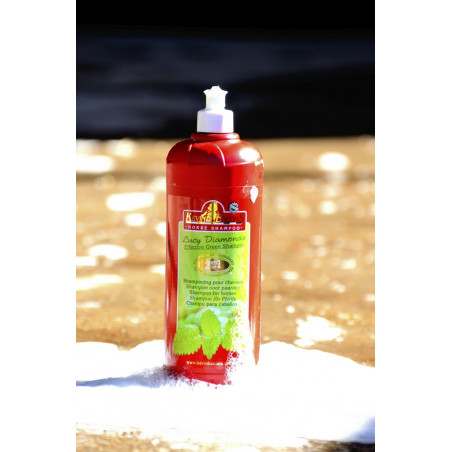 KEVIN BACON’S shampoo – Lucy Diamonds