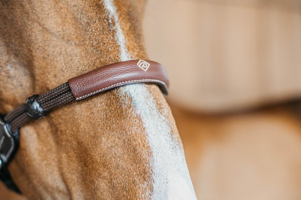 Bitloze hoofdstel zonder bit Dy'on Zwart