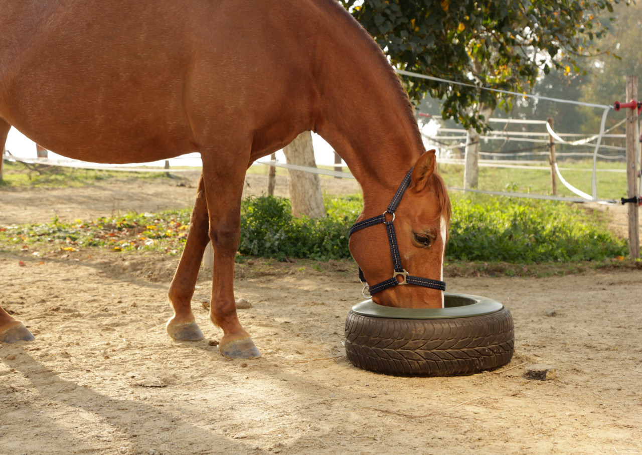 Voederbak voor band Kerbl Groen