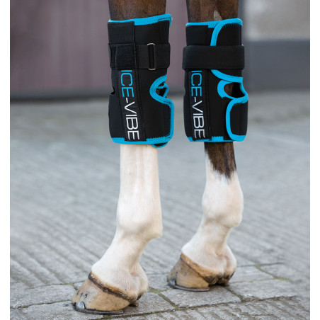 Ice-Vibe Kniebeschermers Horseware