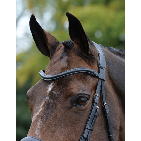 Anatomisch hoofdstel Collegiate ComFiTec Vogue