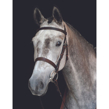 Bridon Collegiate Neusriem IV