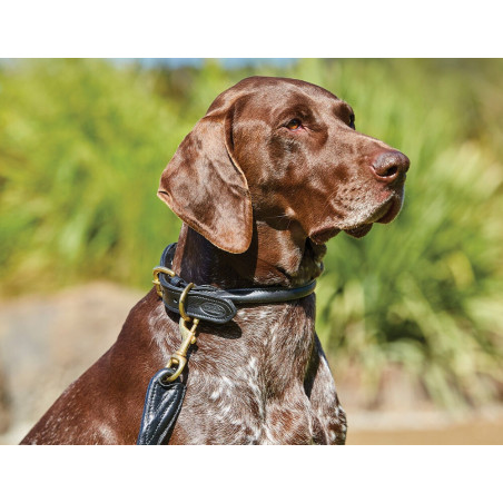 Halsband voor honden Weatherbeeta rond leer