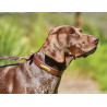 Hondenhalsband leer Weatherbeeta - Bruin