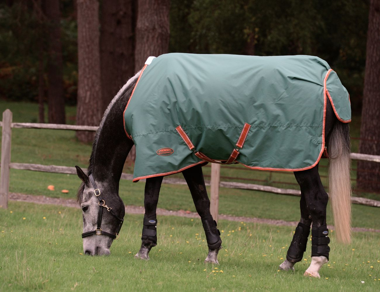 Buitendeken 200g Weatherbeeta ComFiTec Tyro Groen / gebrand oranje / wit