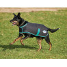 Honden deken 220g Weatherbeeta Green-Tec 900D - Zwart / donkergroen
