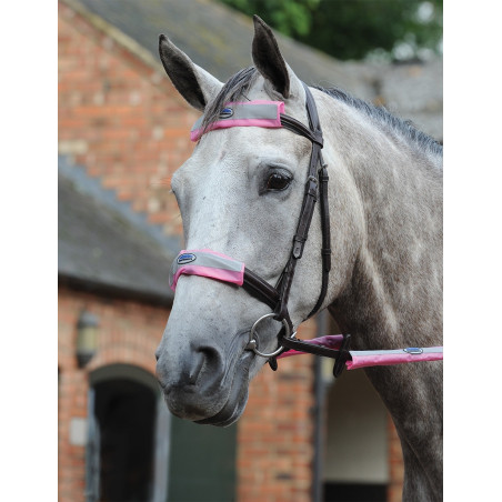 Set van 4 reflecterende stukken voor hoofdstel Weatherbeeta