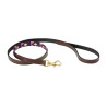 Weerbestendige leren hondenhalsband Polo - Marron cowdray / violet / violet