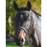 Bridon Carat Jump'In One Premium - Havana