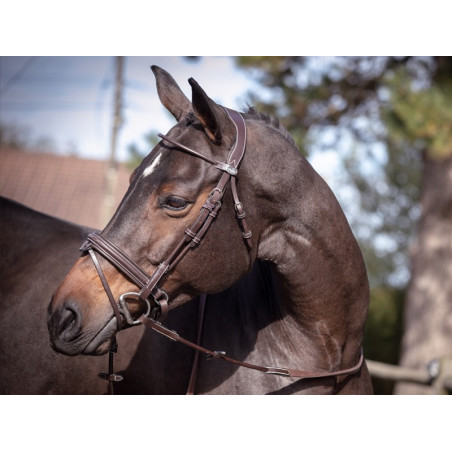 Hoofdstel Friday gecombineerde neusriem Jump'In week
