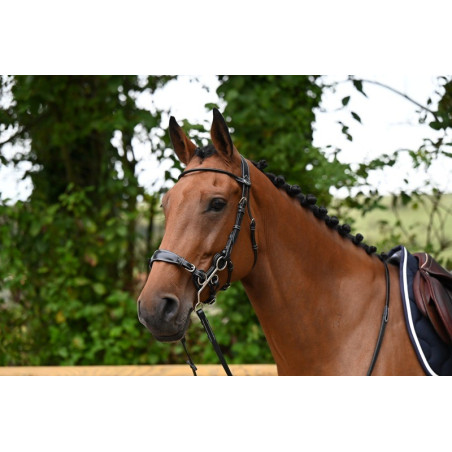 Hackamore Hoofdstel Jump'In week