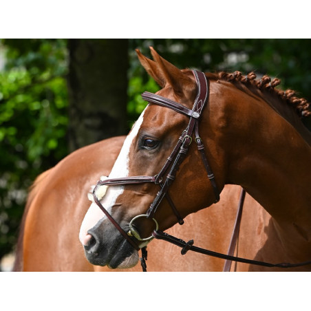 Bridon Jump'In Tuesday gecombineerde neusriem week