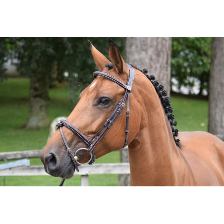 Bridon Thursday gecombineerde neusriem Jump'In week